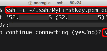 Use SSH to connect to your instance
