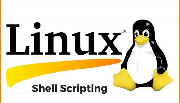 Shell Script - DataMounts