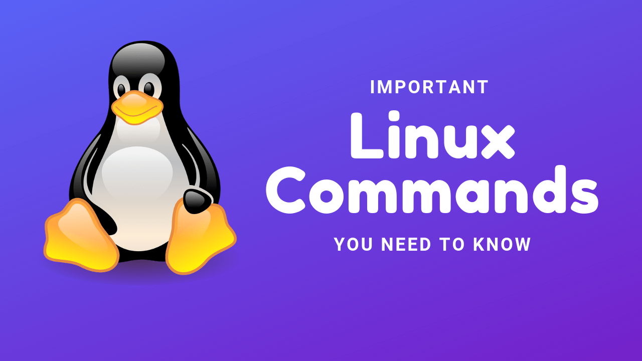 Understand the Basics of Linux terminal commands